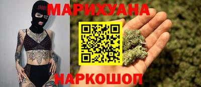 сатива Кандалакша